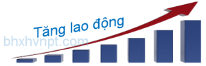 Báo tăng lao động trên phần mềm kê khai bảo hiểm xã hội VNPT mau